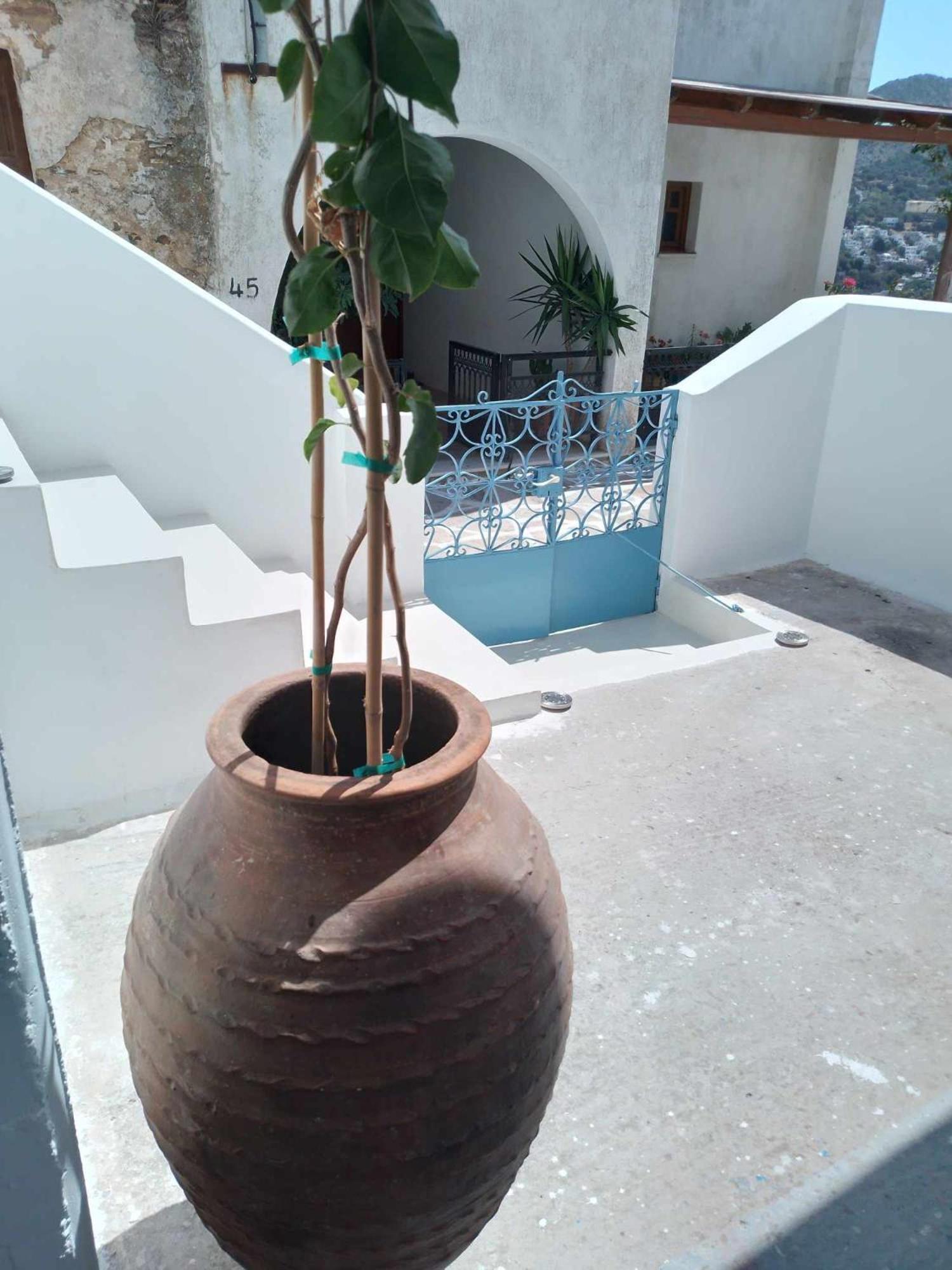 Vila Blue House Koronos Exteriér fotografie